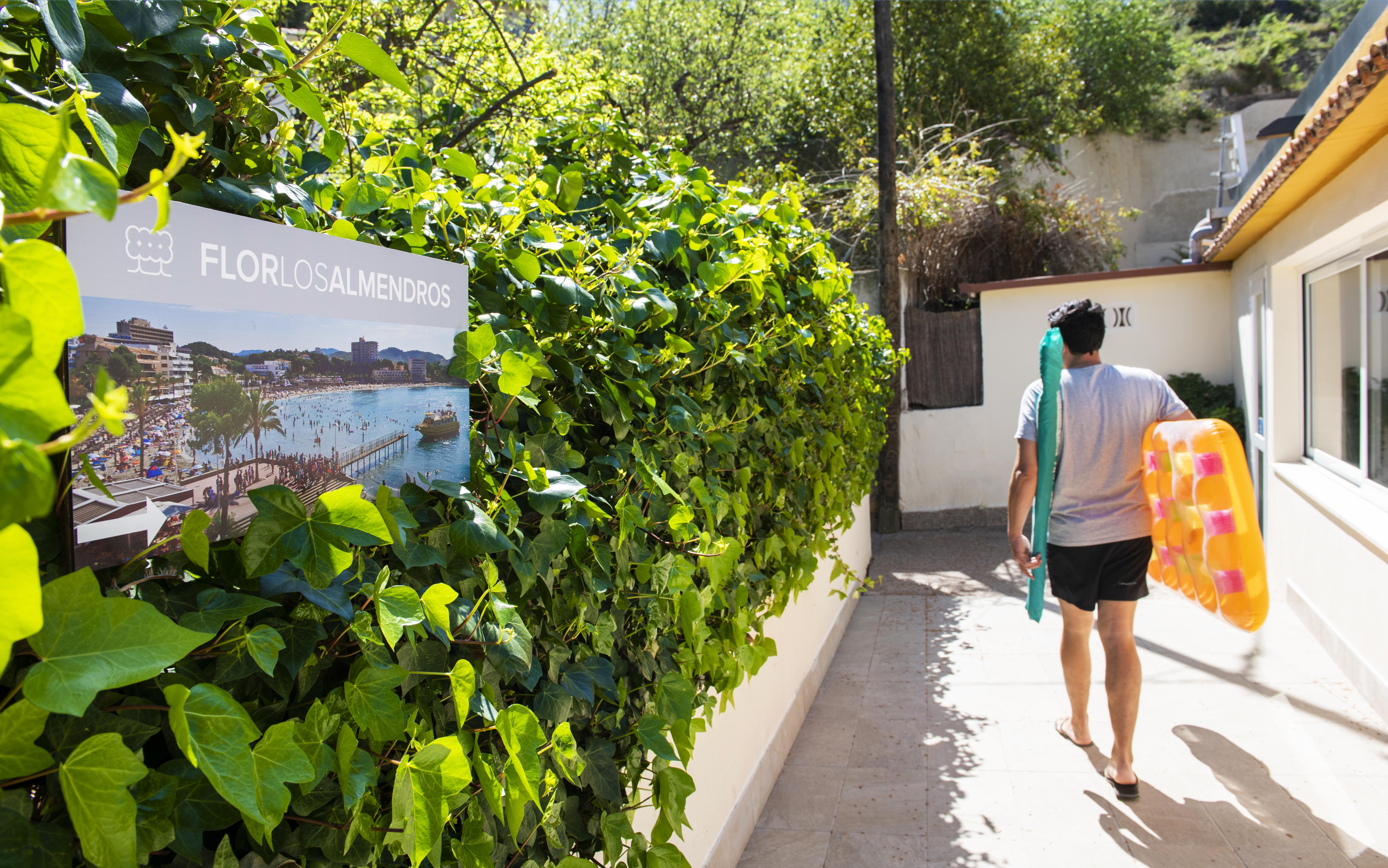 Flor Los Almendros Hotel パゲラ エクステリア 写真